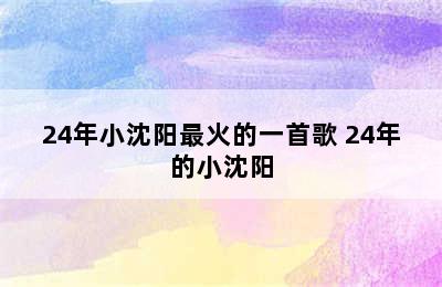 24年小沈阳最火的一首歌 24年的小沈阳